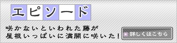 �G�s�\�[�h